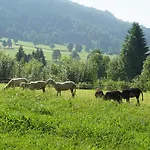 Lacknerhof Hotel