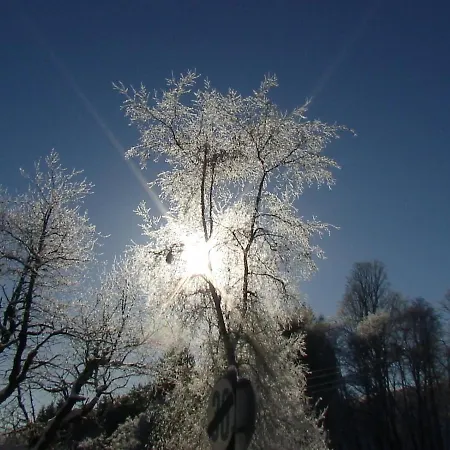 فندق Lacknerhof 3*