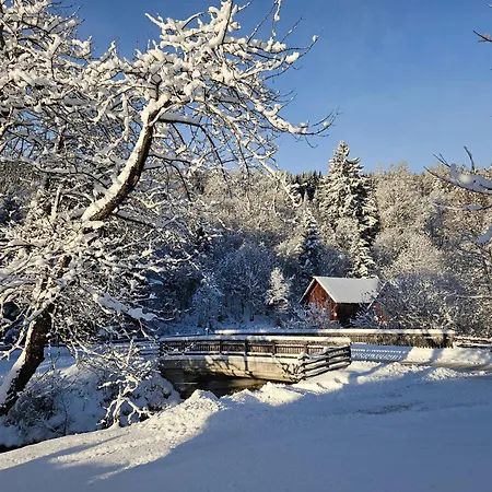 فندق Lacknerhof 3*