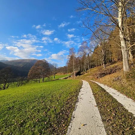 فندق Lacknerhof 3*