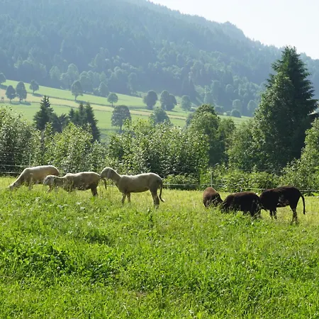 Landhotel Lacknerhof Hotel