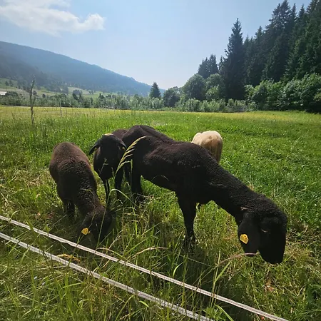 Lacknerhof فندق ماريابفار